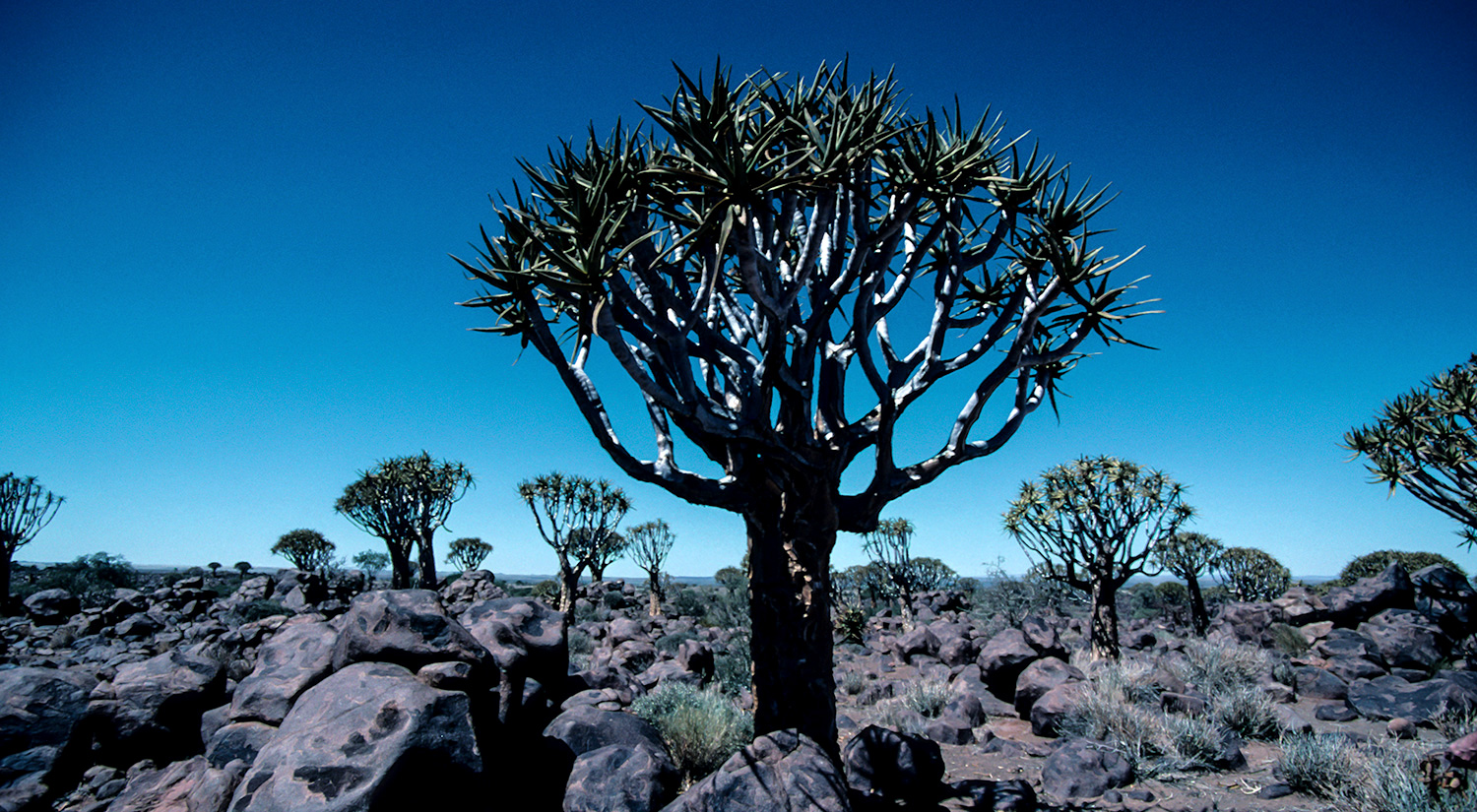 Keetmanshoop