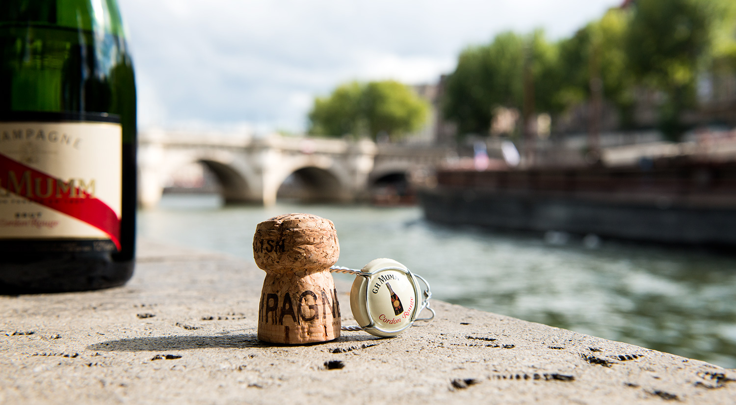 The Seine